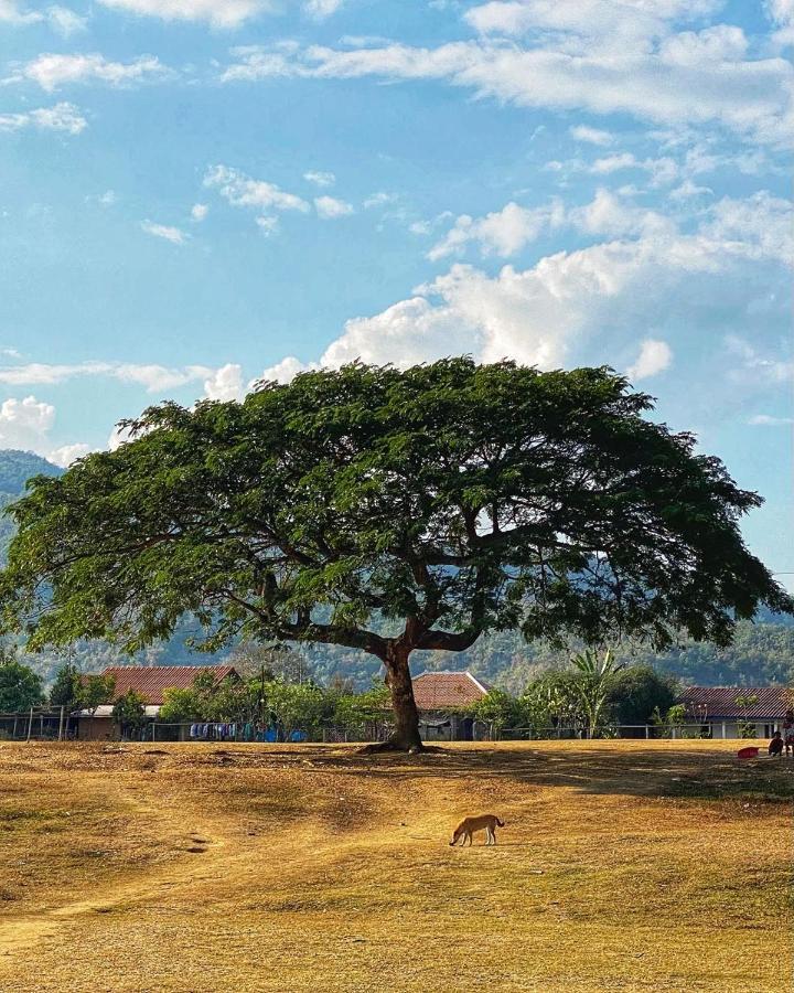 Villa Kiengkham晶康民宿 Luang Prabang Buitenkant foto